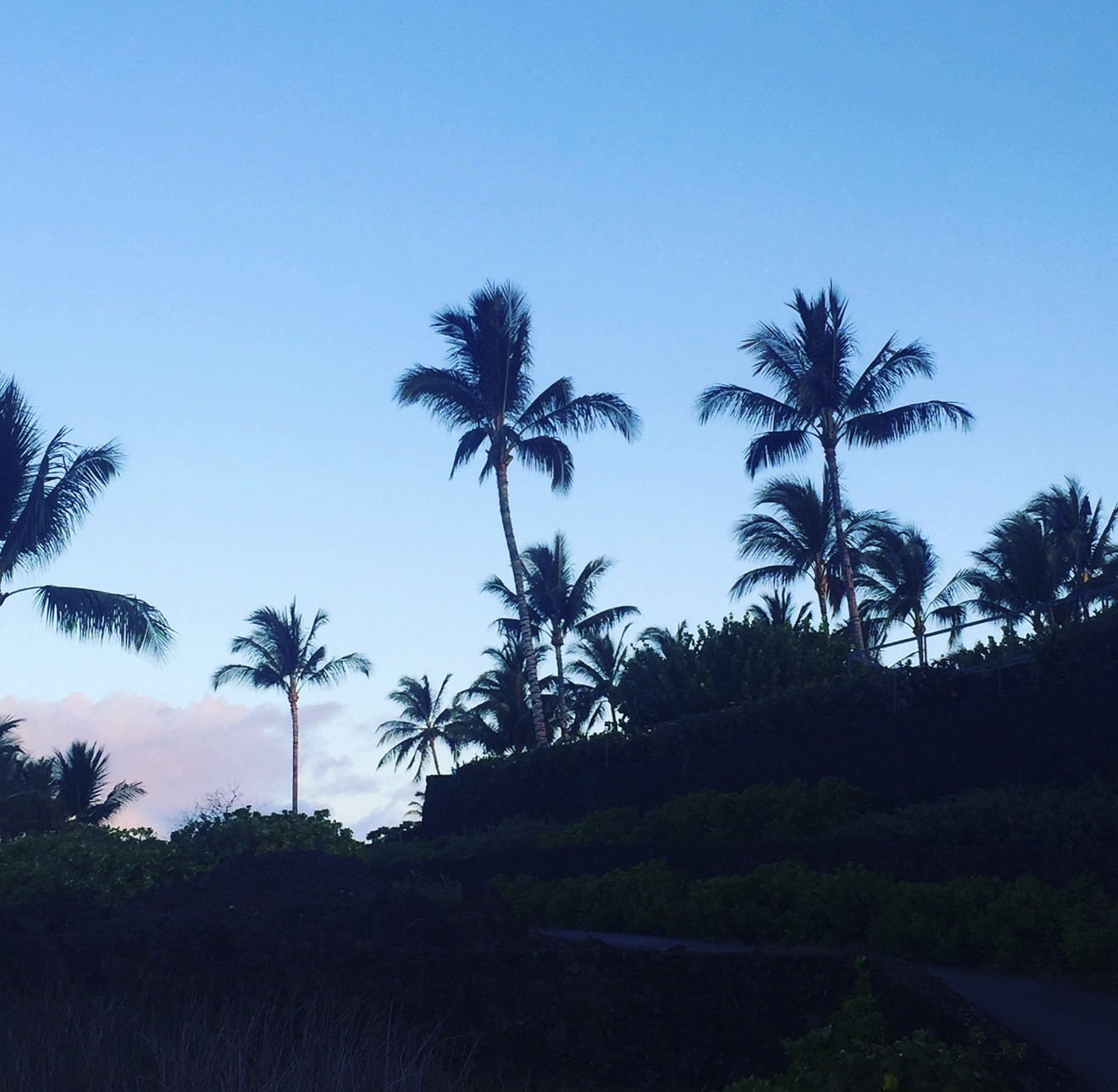 5e8789c4-99c1-4f74-9c3d-d17b1f233323