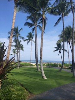 64f14229-02a5-4df6-88c0-fc443aaddaa0