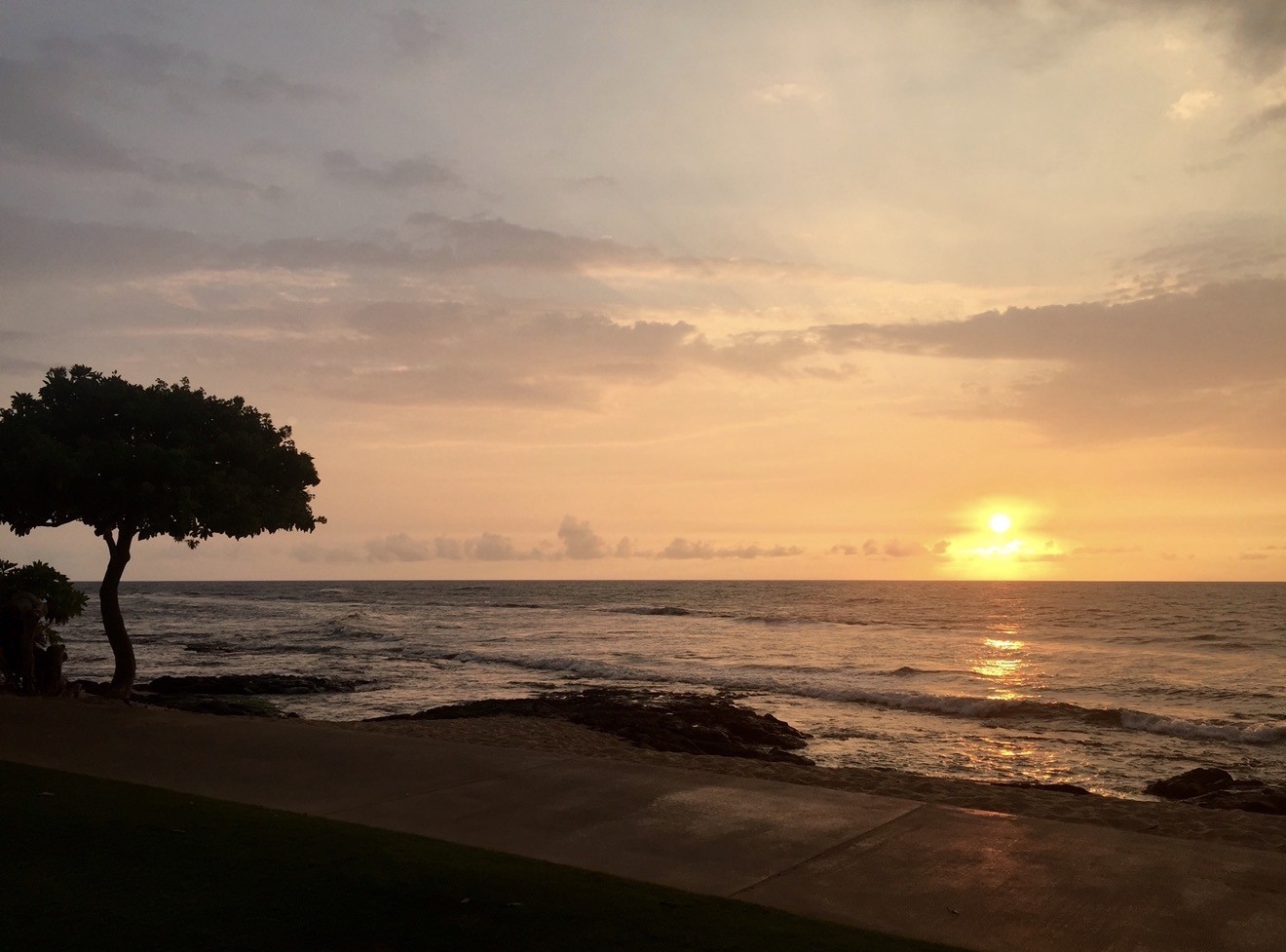 ef2dc5c2-30c3-4317-a457-a897d0017460